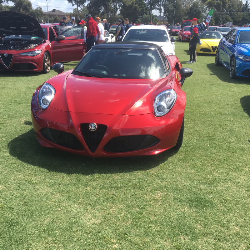 Illustration for article titled Alfa car show pic dump